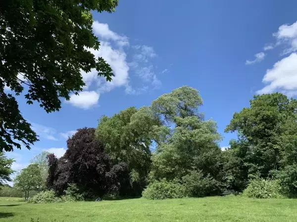 「【現地ルポ】池で泳げるロンドン最大の公園「ハムステッド・ヒース」って？」の画像