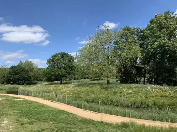 「【現地ルポ】池で泳げるロンドン最大の公園「ハムステッド・ヒース」って？」の画像
