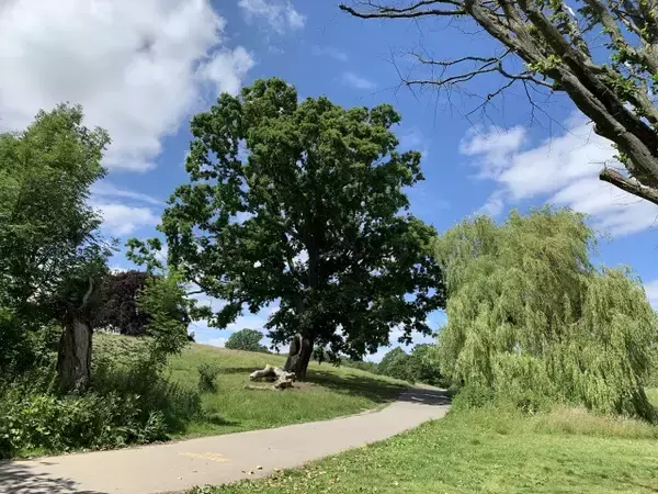 「【現地ルポ】池で泳げるロンドン最大の公園「ハムステッド・ヒース」って？」の画像