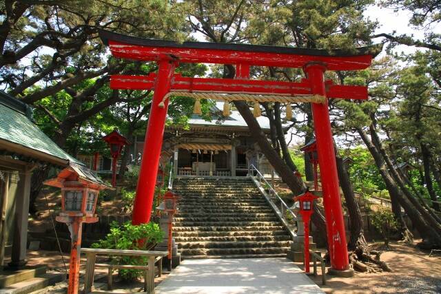 まるでドミノのよう 青森 高山稲荷神社の千本鳥居 19年7月17日 エキサイトニュース