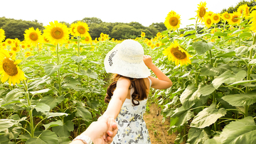 【2019年決定版】この夏おすすめの「ひまわり畑」７選