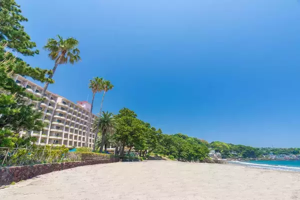 「ここでしか味わえない！「河津産マンゴーパンケーキ」を伊豆今井浜東急ホテルで」の画像