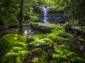 まるで天国！沖縄でしか見られない、美しい滝の絶景スポット８選