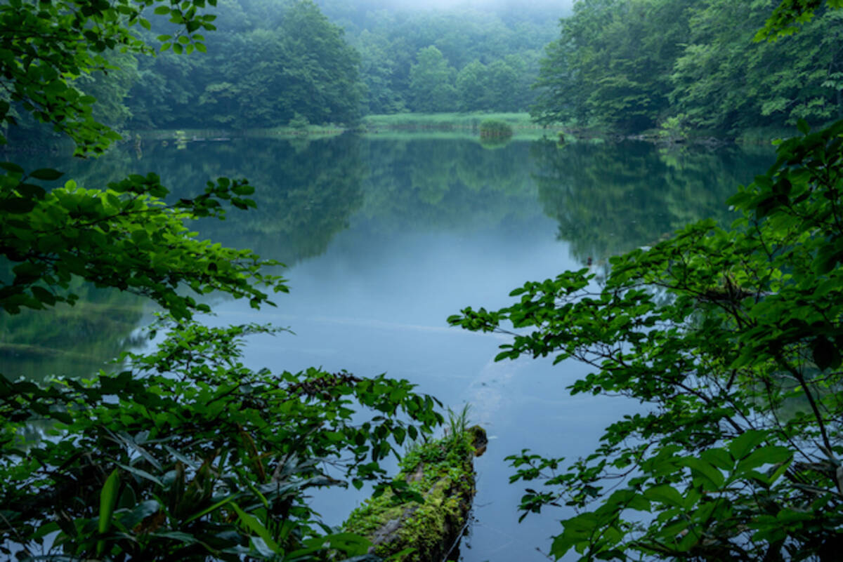 青森県の絶景 美しすぎる 今すぐ行ってみたくなる 水と森の絶景スポット５選 19年8月日 エキサイトニュース