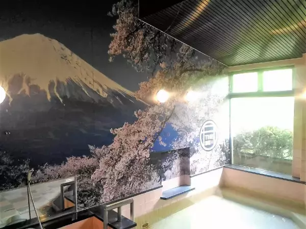 「１泊たったの２７００円！“人をダメにする”温泉旅館に泊まってみた！＊The Ryokan Tokyo YUGAWARA＊【宿泊ルポ】」の画像