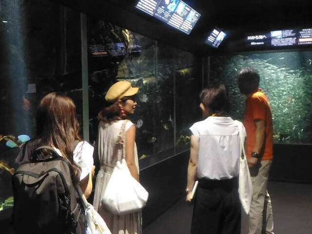 世界から大注目される世界一のクラゲ水族館「加茂水族館」【山形県・庄内】
