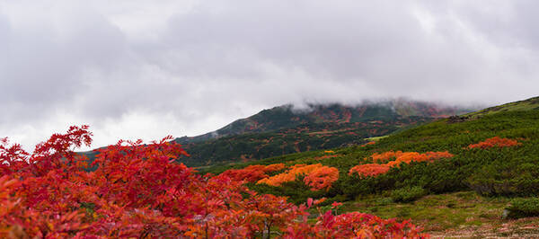 全国紅葉の絶景 9月に始まる日本一早い紅葉 北海道 大雪山国立公園 層雲峡 19年9月6日 エキサイトニュース