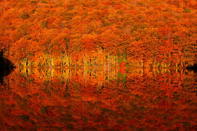 全国紅葉の絶景 燃えるように赤く染まる 青森県の紅葉人気スポット 19年9月12日 エキサイトニュース