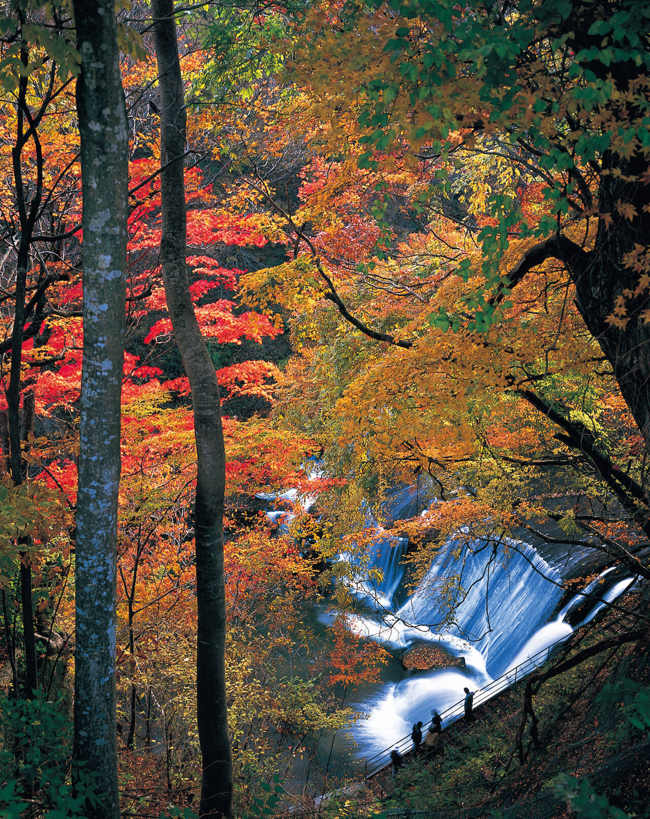 全国紅葉の絶景 絵の具のパレットを広げたようなカラフルさ 今行くべき 宮城県の紅葉人気スポット 19年9月16日 エキサイトニュース 2 3