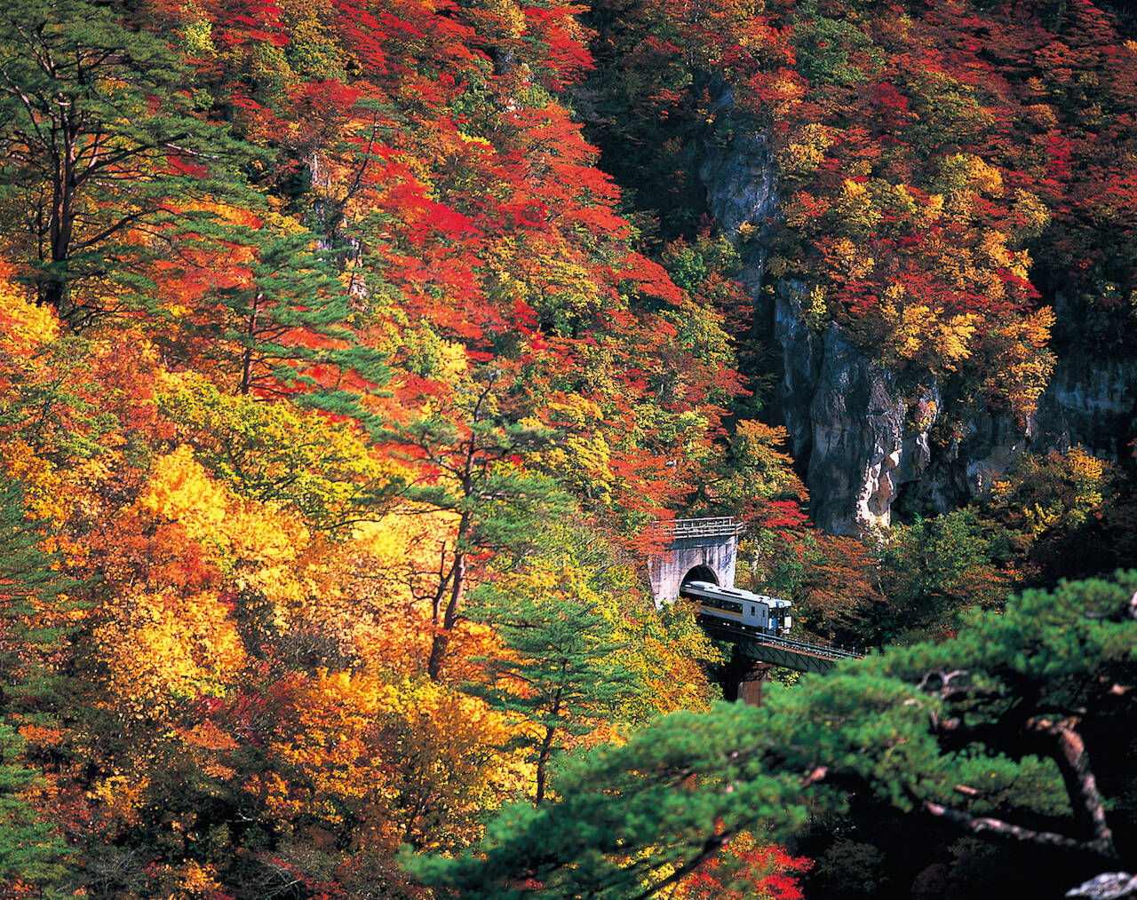 全国紅葉の絶景 絵の具のパレットを広げたようなカラフルさ 今行くべき 宮城県の紅葉人気スポット 19年9月16日 エキサイトニュース