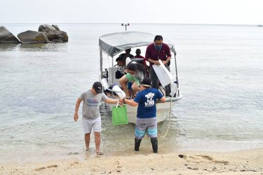 赤ちゃんガメとの触れ合いも！ウミガメと泳ぐならマレーシアの「聖地」レダン島が最適な理由【マレーシア】