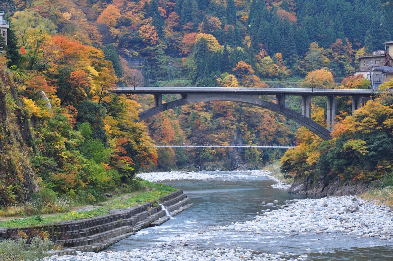 全国紅葉の絶景 トロッコ電車で揺られて行く 富山県の紅葉人気スポット 19年9月21日 エキサイトニュース