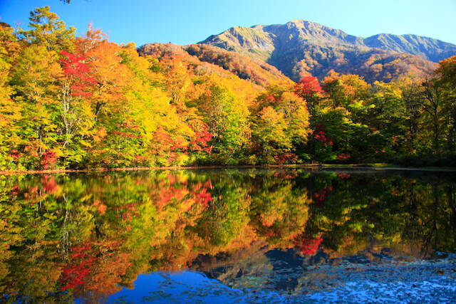 全国紅葉の絶景 ゆったりと穏やかに見る 福井県の紅葉人気スポット 19年9月23日 エキサイトニュース