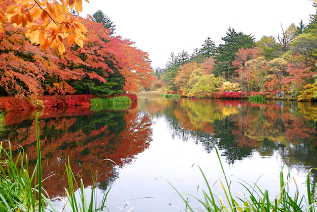 全国紅葉の絶景 信州の名山を彩る 長野県の紅葉人気スポット 19年9月25日 エキサイトニュース