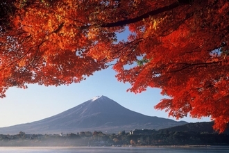 【全国紅葉の絶景】富士山と共に眺める、山梨県の紅葉人気スポット