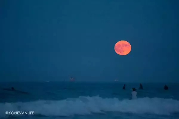 「バンライフで日本旅（３）｜日本はバンライフがしやすい？」の画像