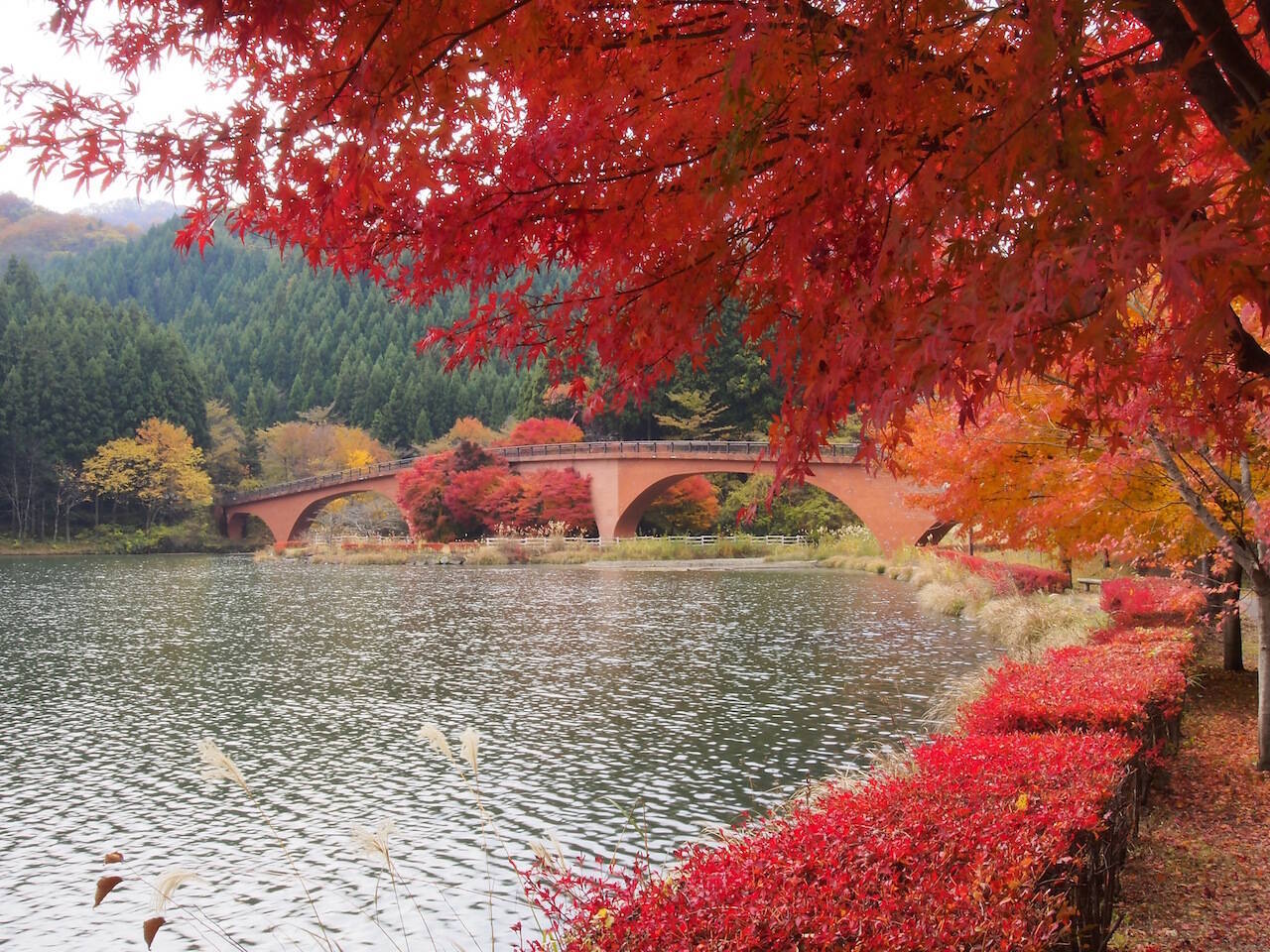 全国紅葉の絶景 秋色に染まる山々に憩う 群馬県の紅葉人気スポット 19年10月5日 エキサイトニュース