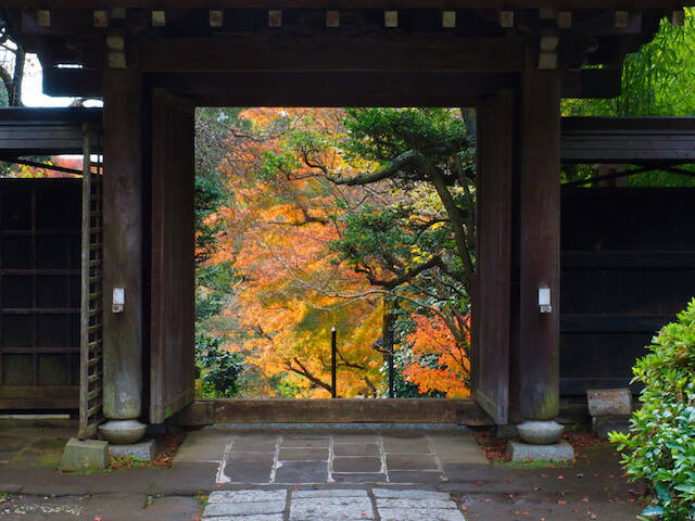 全国紅葉の絶景 12月までゆっくり楽しめる紅葉 神奈川県の紅葉人気スポット 19年10月8日 エキサイトニュース