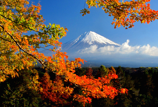 【全国紅葉の絶景】縁結びのご利益に恋心も色づく、静岡県の紅葉人気スポット