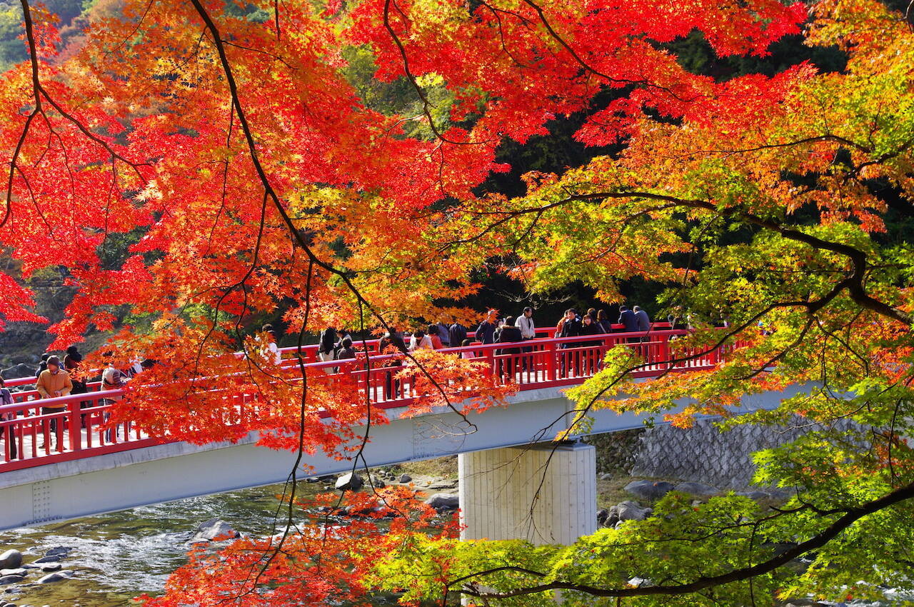 全国紅葉の絶景 カラフルでゴージャスな紅葉 愛知県の紅葉人気スポット 19年10月10日 エキサイトニュース