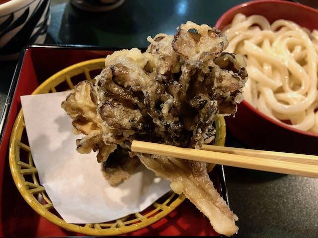 究極の輝きと喉越しに超感動！水沢うどんの元祖「田丸屋」を実食ルポ【群馬県】