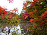 「【全国紅葉の絶景】一幅の絵画のような、兵庫県の紅葉人気スポット」の画像10