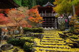 「【全国紅葉の絶景】一幅の絵画のような、兵庫県の紅葉人気スポット」の画像8