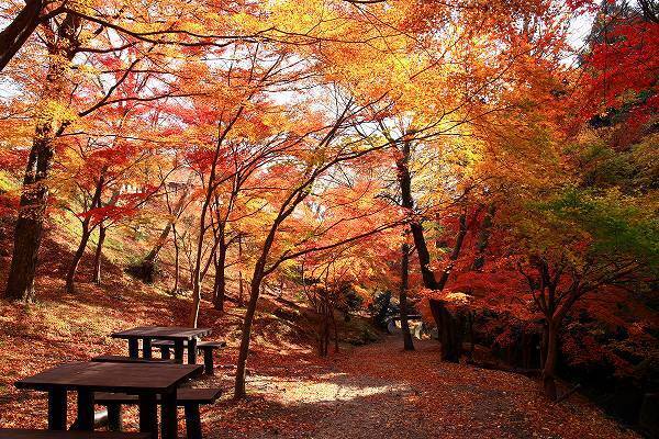 全国紅葉の絶景 こころが清められる 三重県の紅葉人気スポット 19年10月24日 エキサイトニュース