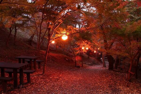 全国紅葉の絶景 こころが清められる 三重県の紅葉人気スポット 19年10月24日 エキサイトニュース