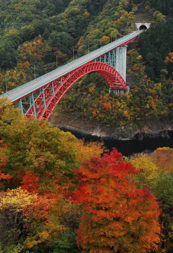 「【全国紅葉の絶景】焦がれて待っていた、広島県の紅葉人気スポット」の画像