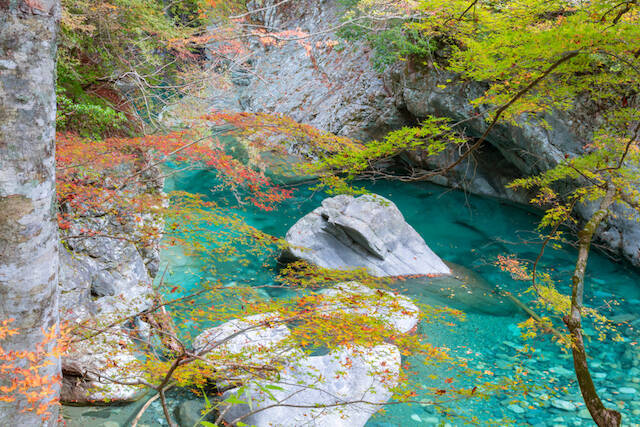 全国紅葉の絶景 エメラルドグリーンの清流と紅葉のコントラスト 愛媛