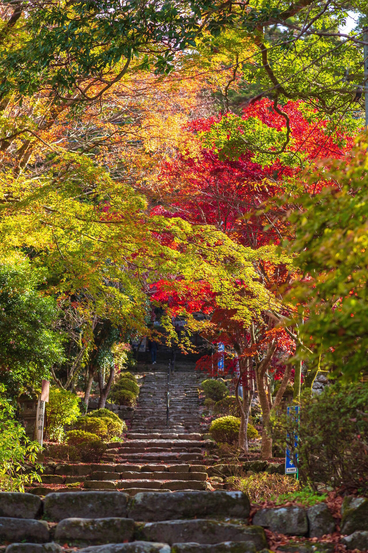 全国紅葉の絶景 赤の余韻が残る 福岡県の紅葉人気スポット 19年11月5日 エキサイトニュース