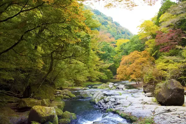 「【全国紅葉の絶景】紅葉の海に浮かぶ、熊本県の紅葉人気スポット」の画像