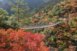 「【全国紅葉の絶景】紅葉の海に浮かぶ、熊本県の紅葉人気スポット」の画像8
