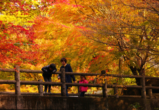 【全国紅葉の絶景】想いが紅葉を色づかせる、佐賀県の紅葉人気スポット