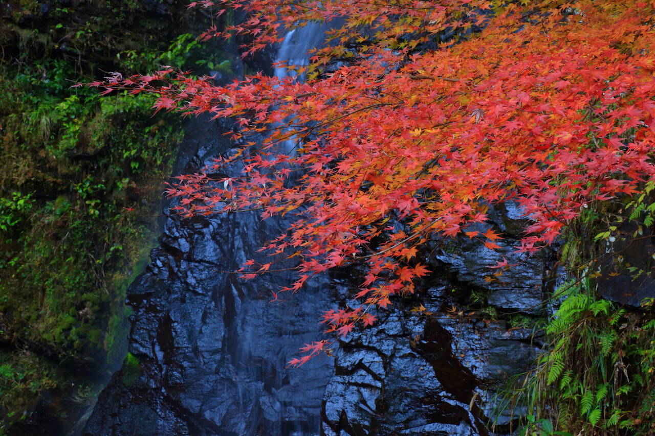 全国紅葉の絶景 秋になるのを待っていた 長崎県の紅葉人気スポット 19年11月7日 エキサイトニュース 2 2