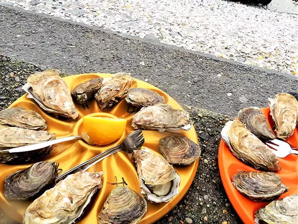 牡蠣のシーズン到来！一大産地フランスのカンカル、地元流の生牡蠣の楽しみ方