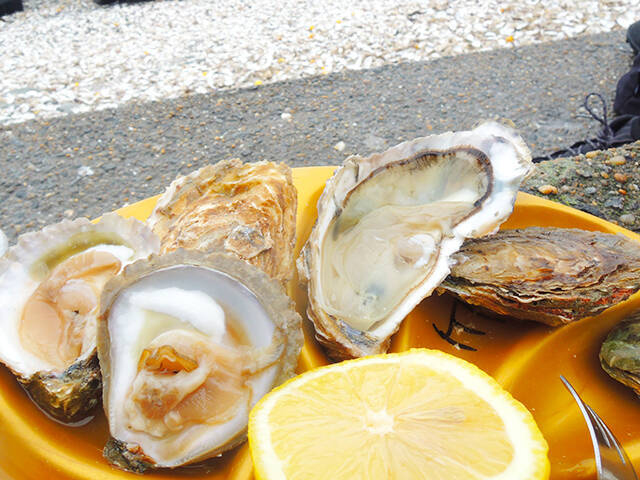 牡蠣のシーズン到来！一大産地フランスのカンカル、地元流の生牡蠣の楽しみ方