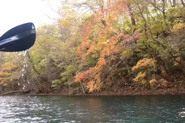 「支笏湖に行ったならチャレンジしたい！紅葉の絶景を満喫するカヤック体験【北海道】」の画像