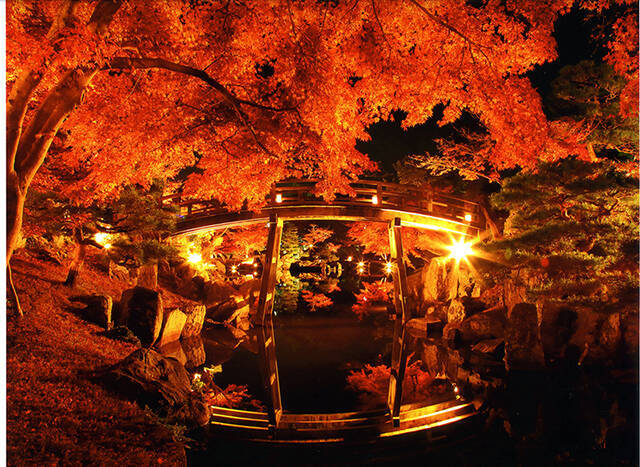 彦根城の庭園 玄宮園 が夜間特別公開 期間限定紅葉ライトアップが美しすぎる 19年11月18日 エキサイトニュース