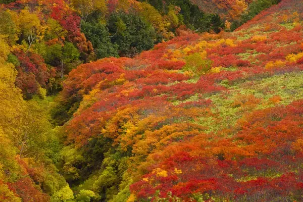「【全国の一度は訪れたい温泉地】大雪山の麓にある「神々の遊ぶ庭」　層雲峡温泉＜北海道＞」の画像