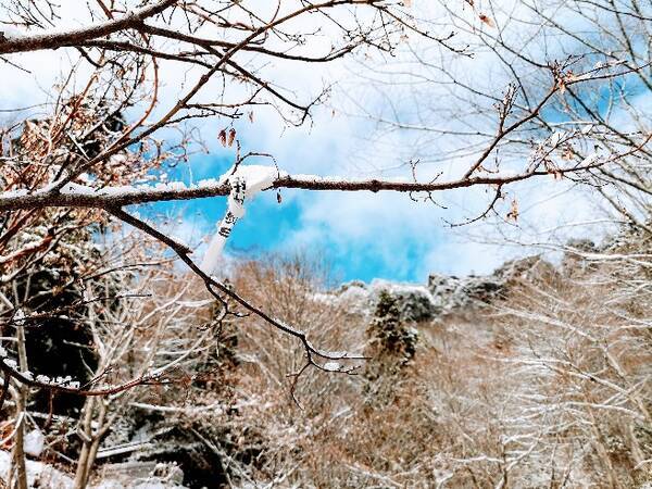 心をリセットする信州の美 戸隠神社奥社 の神聖な白い世界をレポート 長野県 年1月3日 エキサイトニュース