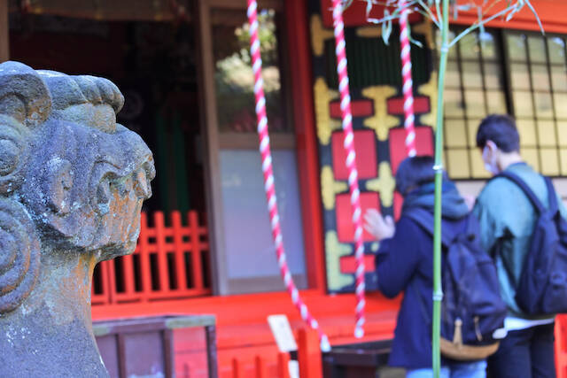 2020年の初詣はどこに行く？人気の神社と新年の行事をご紹介【全国女性101名が回答】