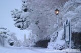 「【日本の冬絶景】異国情緒の漂う港町函館　北海道の雪景色　」の画像2