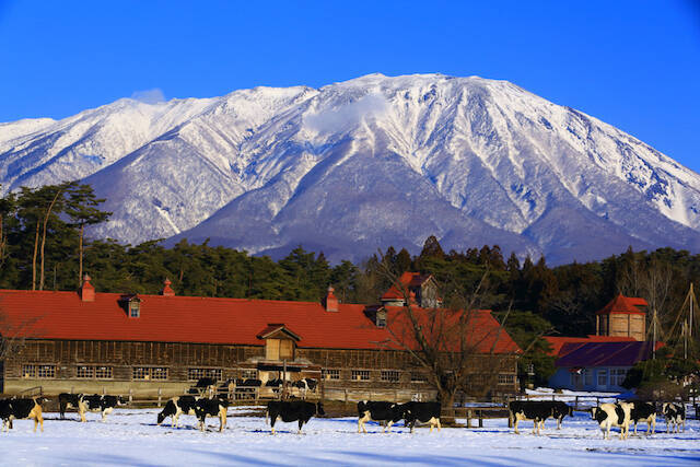 日本の冬絶景 冬の世界文化遺産を訪れたい 岩手県の雪景色 年1月18日 エキサイトニュース