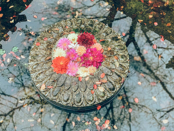 女子心をくすぐるインスタ映えなスポットを発見 花手水 が有名な岡寺を現地ルポ 奈良 年1月7日 エキサイトニュース