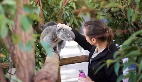 「【2020年に行きたい旅先を調査：海外編】ハワイが人気！少数派の意見もチェック」の画像