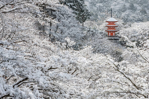 日本の冬絶景 雪が別世界へ連れていく 京都の雪景色 年1月26日 エキサイトニュース