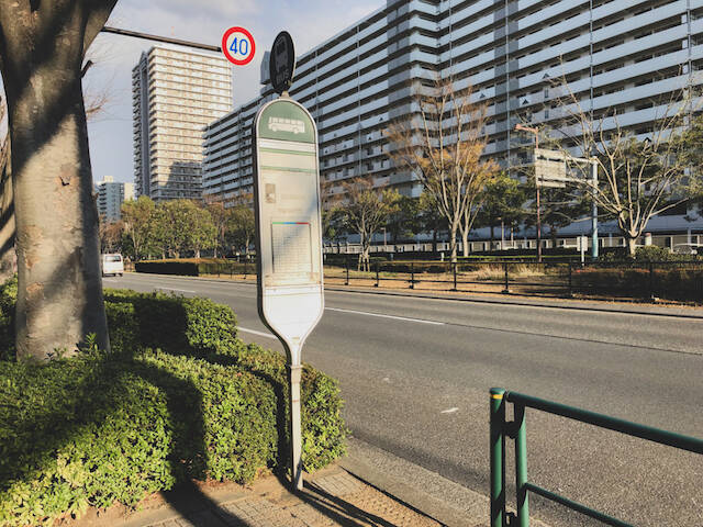 日本に帰国して感じる 「逆カルチャーショック」体験を告白【５】日本で驚いた交通事情について