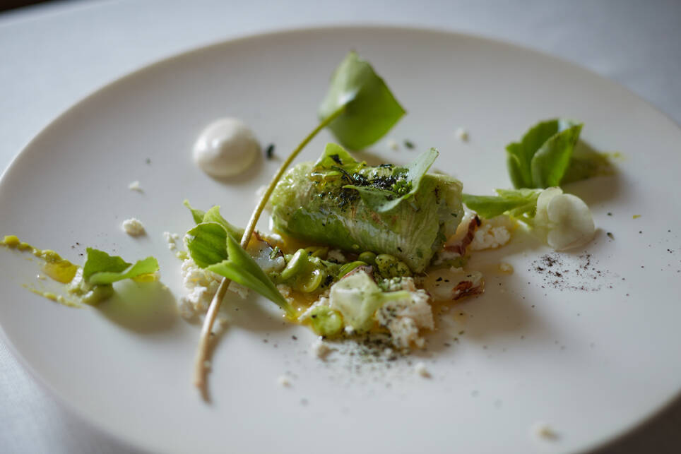 【魅力のイタリアン】自ら育てた野菜を食べさせる　農園レストラン｜たったひとつを叶える旅＜９２＞
